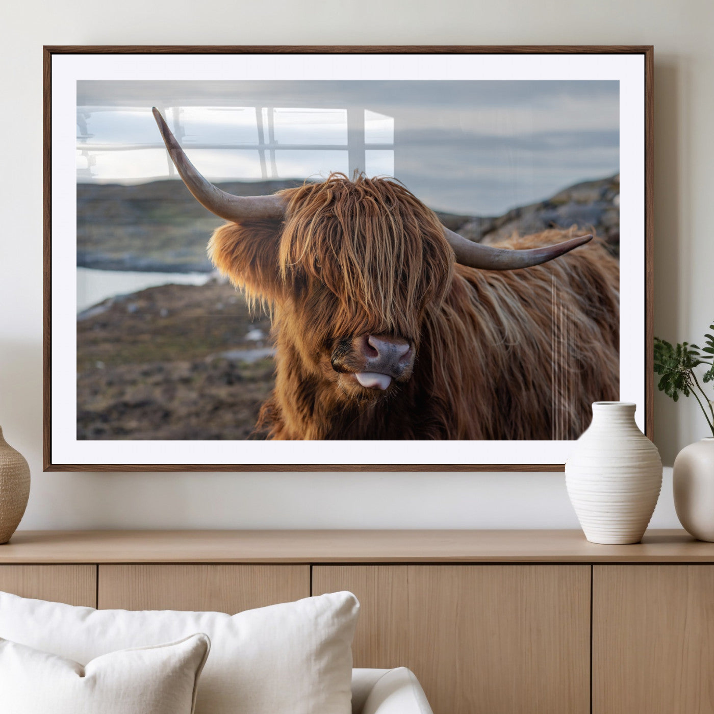 71222-MGV-CV-36X24-A playful Highland cow with shaggy fur sticks out its tongue, set against a rugged landscape — perfect for quirky home or office
