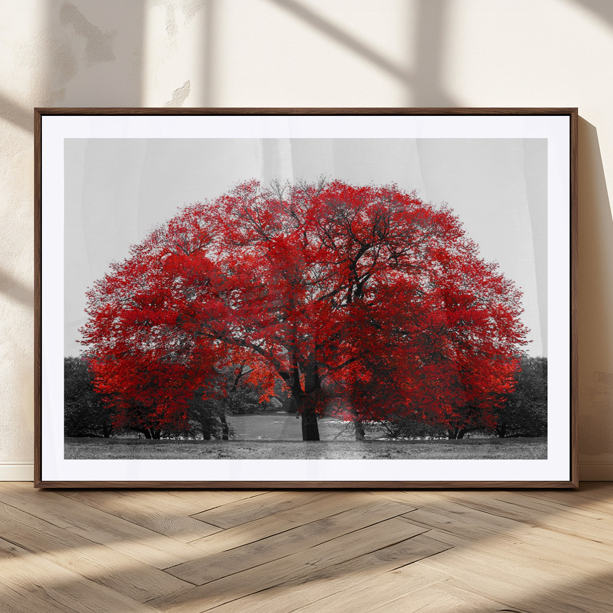 80021-MGC-FP-36x24_Walnut-Red Tree Wall Art – Striking Black and White Landscape Canvas Print with Vibrant Red Leaves, Modern Nature Decor for Living Room