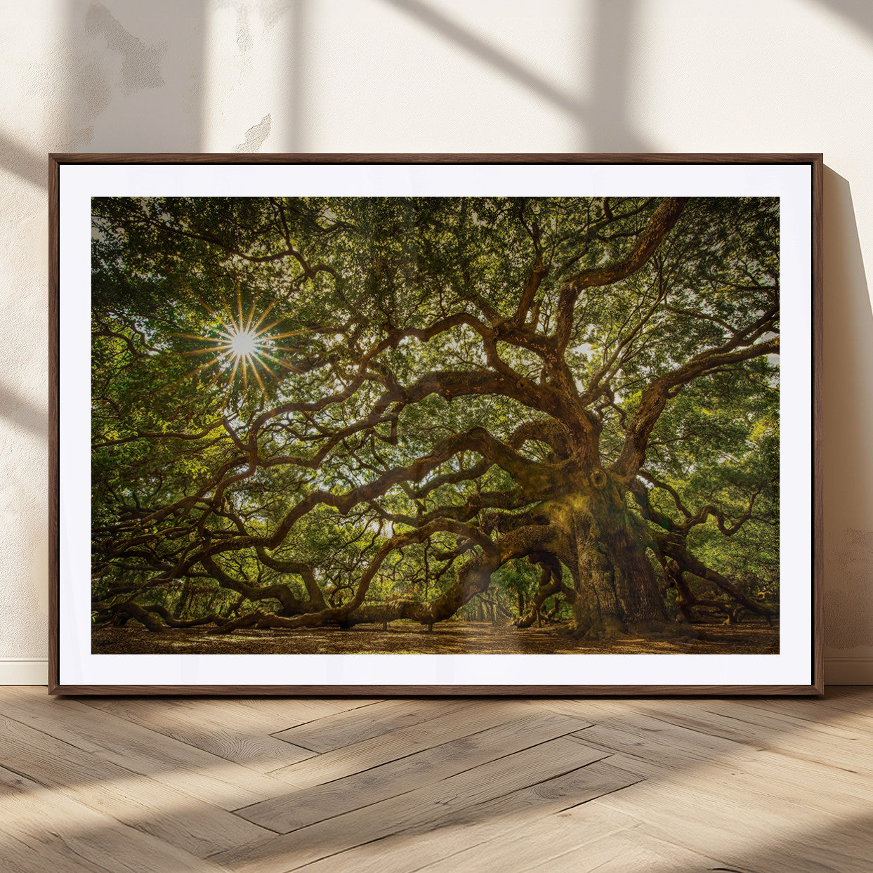 57983-MGC-FP-36x24_Walnut-Angel Oak Tree Wall Art Canvas Print, Framed Oak Tree Art Picture Print, Angel Oak Perfect Rustic Nature Decor Artwork