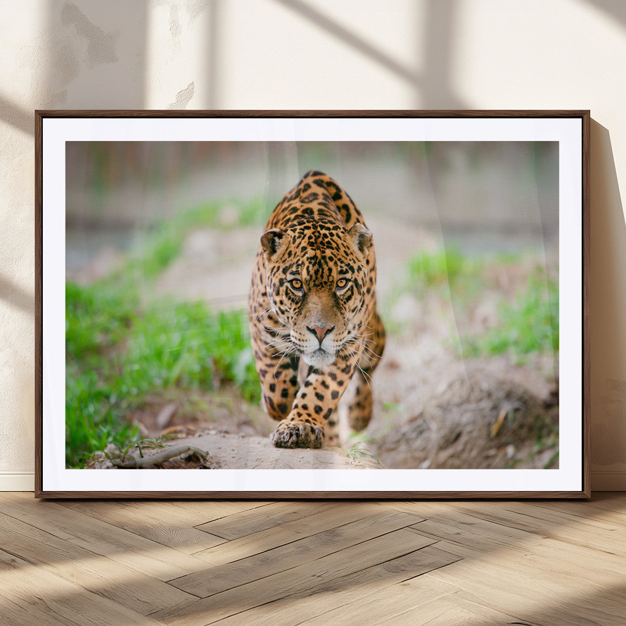 75066-MGC-FP-36x24_Walnut-Leopard Wall Art Canvas Print, Framed Wild Animal Art Picture Print, Blue Eye Leopard Perfect Wild Minimal Decor Artwork