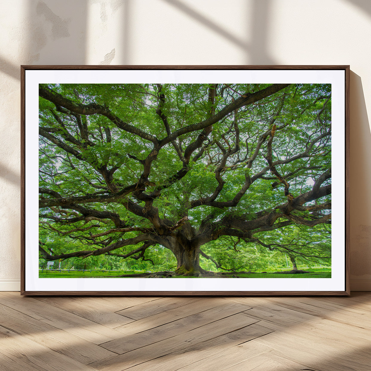 49375306-MGC-FP-36x24_Walnut-Ancient Tree Wall Art Canvas Print, Framed Sprawling Branches Art Picture Print, Gnarling Tree Perfect Earthy Natural Decor