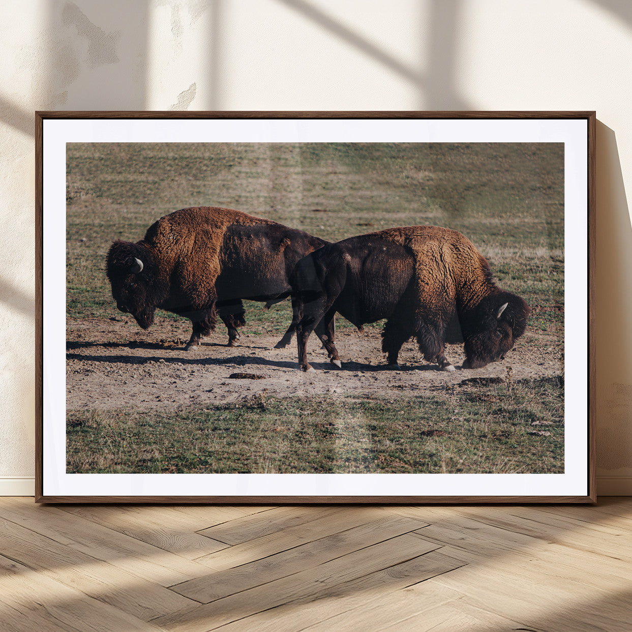 58141885-MGC-FP-36x24_Walnut-Bison Photography Wall Art Canvas Print, Framed Western Wildlife Art Picture Print, Modern Ranch Perfect Western Rustic Decor