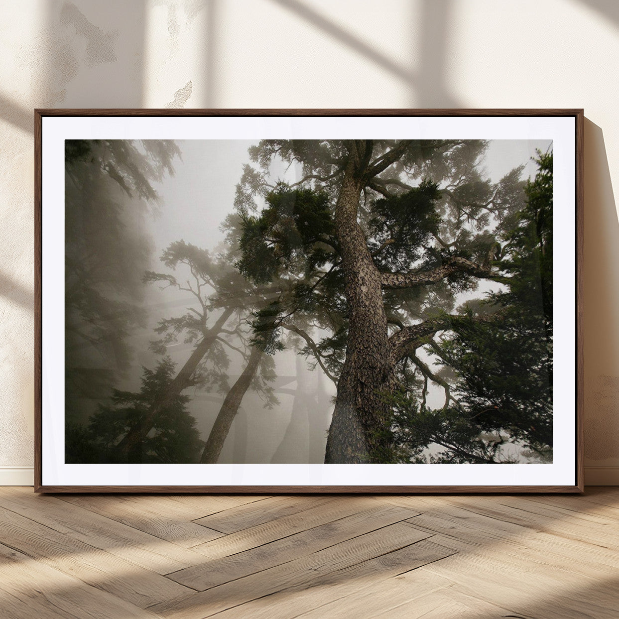 87969493-MGC-FP-36x24_Walnut-Forest Wall Art – Misty Tall Trees Canvas Print, Dramatic Woodland Photography Decor for Bedroom, Living Room, Office, Cabin,