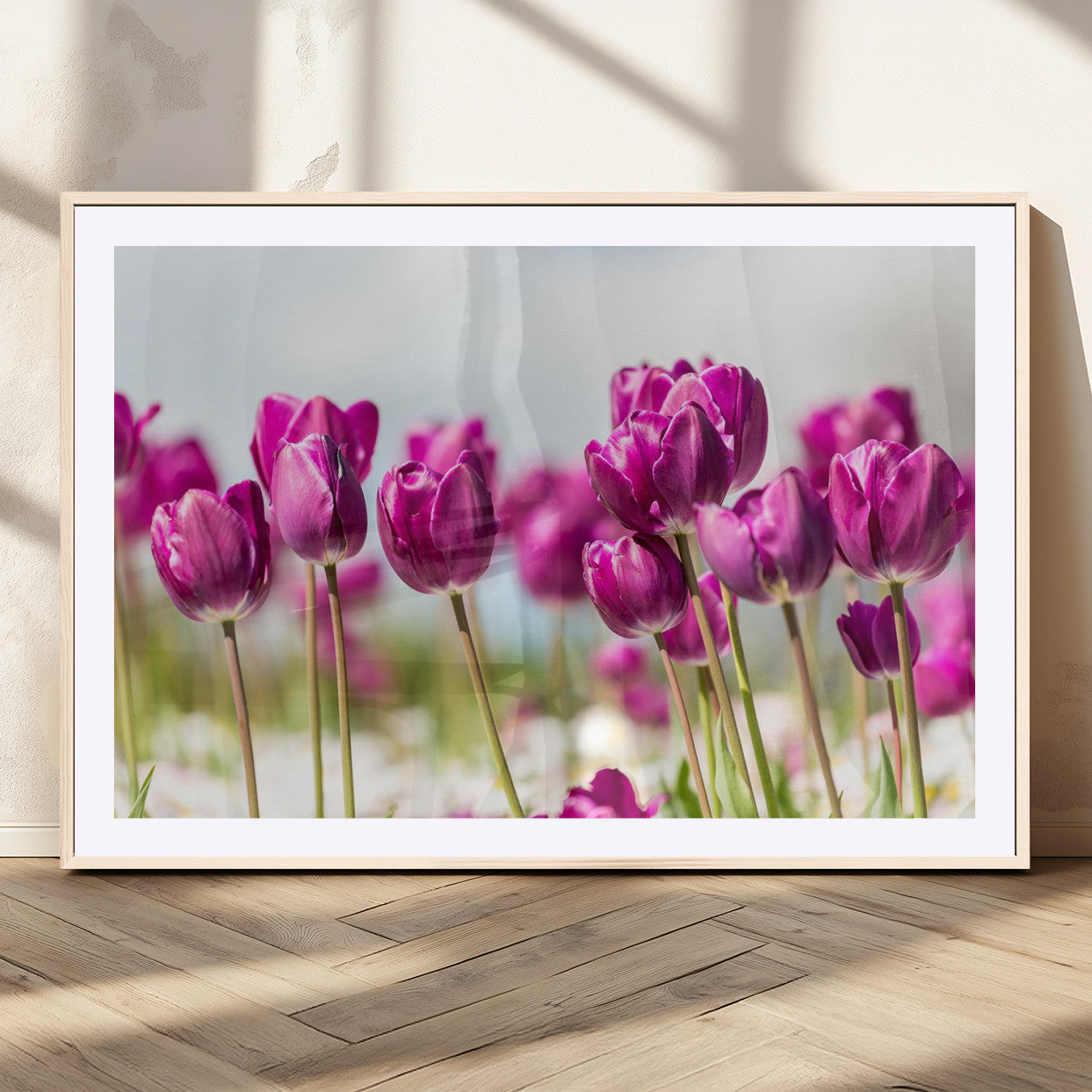 30632-MGC-FP-36x24_Natural-Purple Tulip Field Wall Art – Beautiful Spring Flowers Canvas Print with Soft Focus and Bright Sky, Ideal Floral Decor for Home or