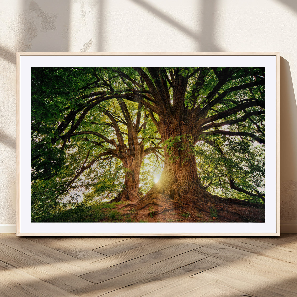 52150-MGV-CV-36X24-Majestic Tree Wall Art – Large Nature Canvas Print with Sunlight Through Branches, Rustic Forest Decor for Living Room, Bedroom or