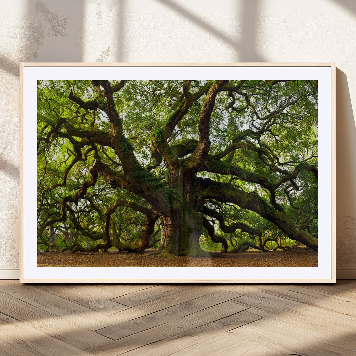 29407-MGV-CV-36X24-Ancient Oak Tree Wall Art – Majestic Nature Canvas Print, Large Tree Photography Decor for Living Room