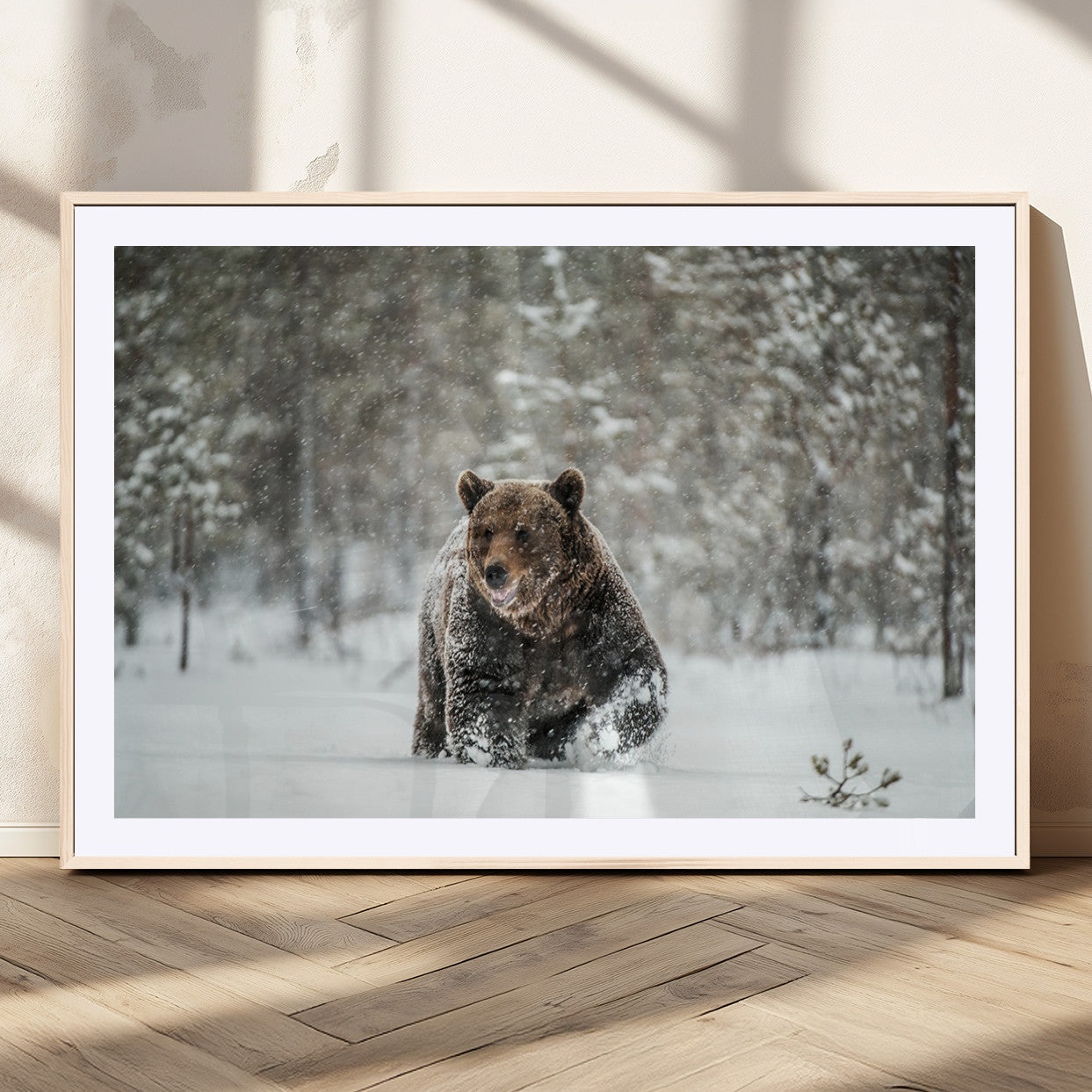43350-MGC-FP-36x24_Natural-Wild Bear in Snow Wall Art – Majestic Wildlife Photography Print, Winter Forest Nature Decor for Cabin, Lodge, Rustic Home,