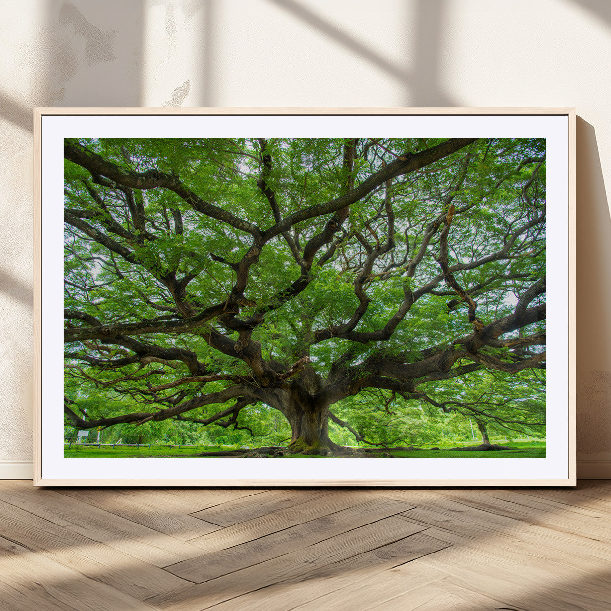 49375306-MGV-CV-36X24-Ancient Tree Wall Art Canvas Print, Framed Sprawling Branches Art Picture Print, Gnarling Tree Perfect Earthy Natural Decor