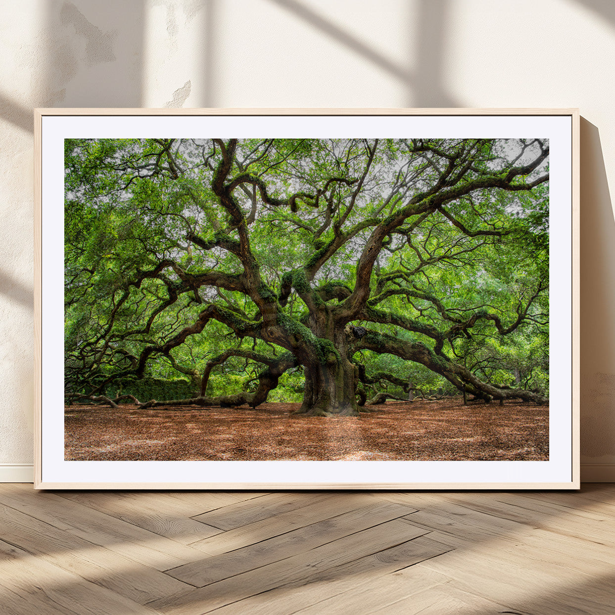 51255351-MGV-CV-36X24-Ancient Tree Wall Art – Majestic Oak Canvas Print, Large Nature Photography, Sacred Forest Landscape Wall Décor, Wisdom Tree