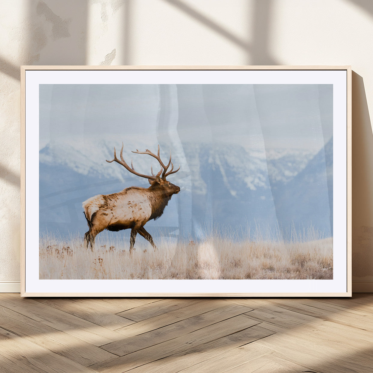 96024025-MGC-FP-36x24_Natural-Elk Photography Wall Art Canvas Print, Framed Mountain Wildlife Art Picture Print, Rustic Lodge Decor Perfect Rustic Lodge Decor