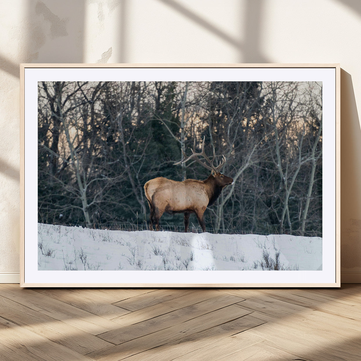 36533178-MGV-CV-36X24-Wild Elk Photography Wall Art Canvas Print, Framed Winter Wildlife Art Picture Print, Snowy Forest Perfect Rustic Lodge Decor