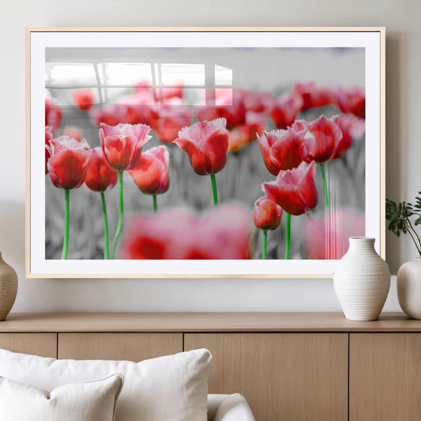 44554-MGV-CV-36X24-Vibrant red tulips stand out beautifully against a black-and-white background, making a striking decor piece perfect for any home
