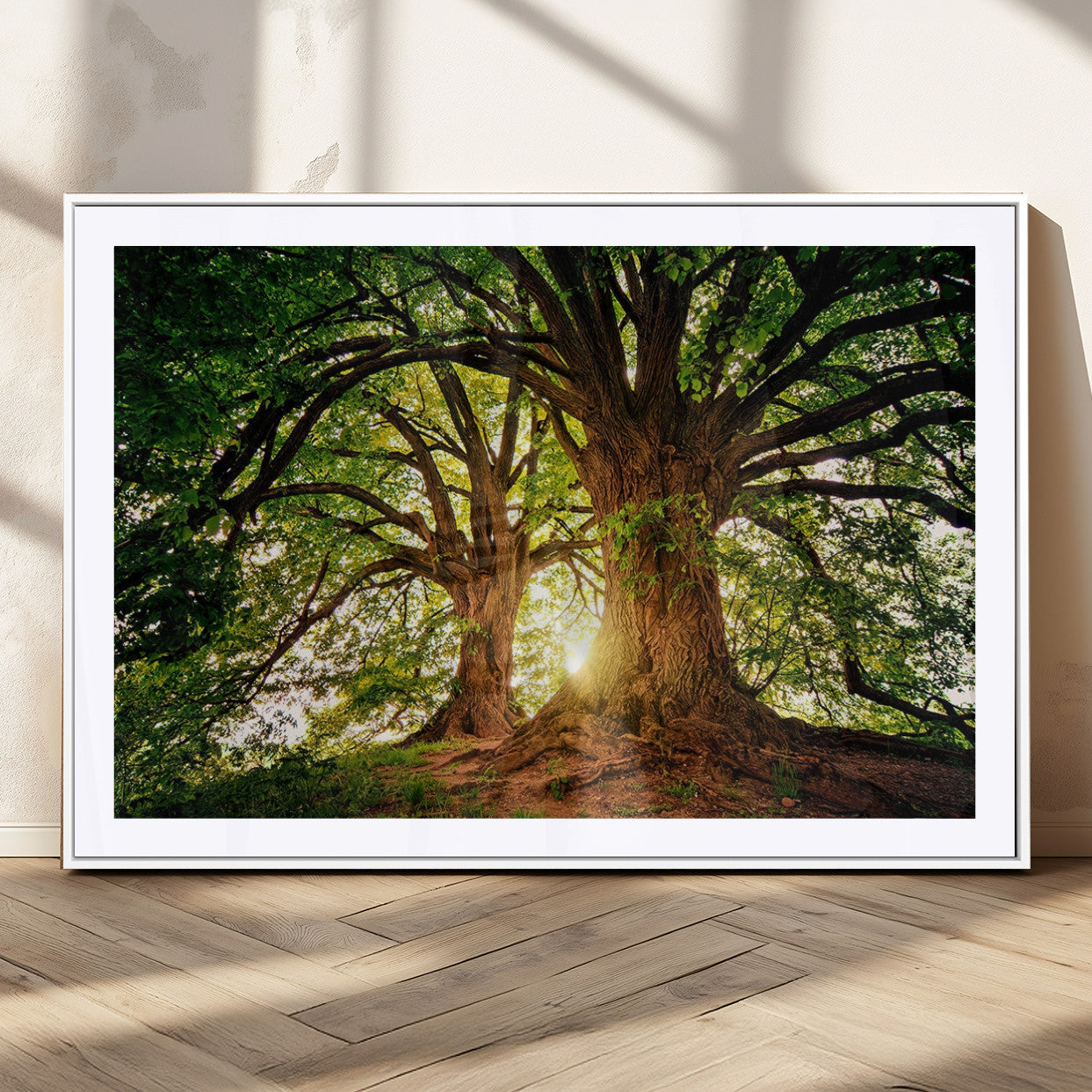 52150-MGC-FP-36x24_White-Majestic Tree Wall Art – Large Nature Canvas Print with Sunlight Through Branches, Rustic Forest Decor for Living Room, Bedroom or