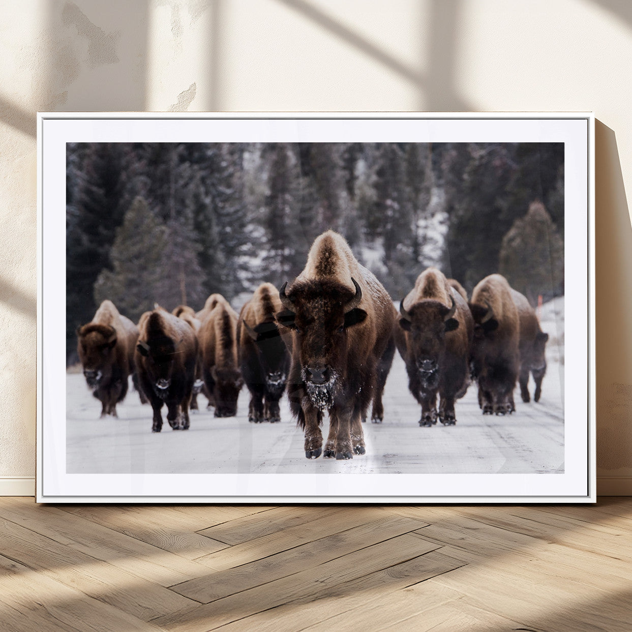 66871-MGC-FP-36x24_White-Bison Herd Wall Art – Wildlife Buffalo Canvas Print, Rustic Western Nature Photography Decor for Living Room, Office, Cabin, or