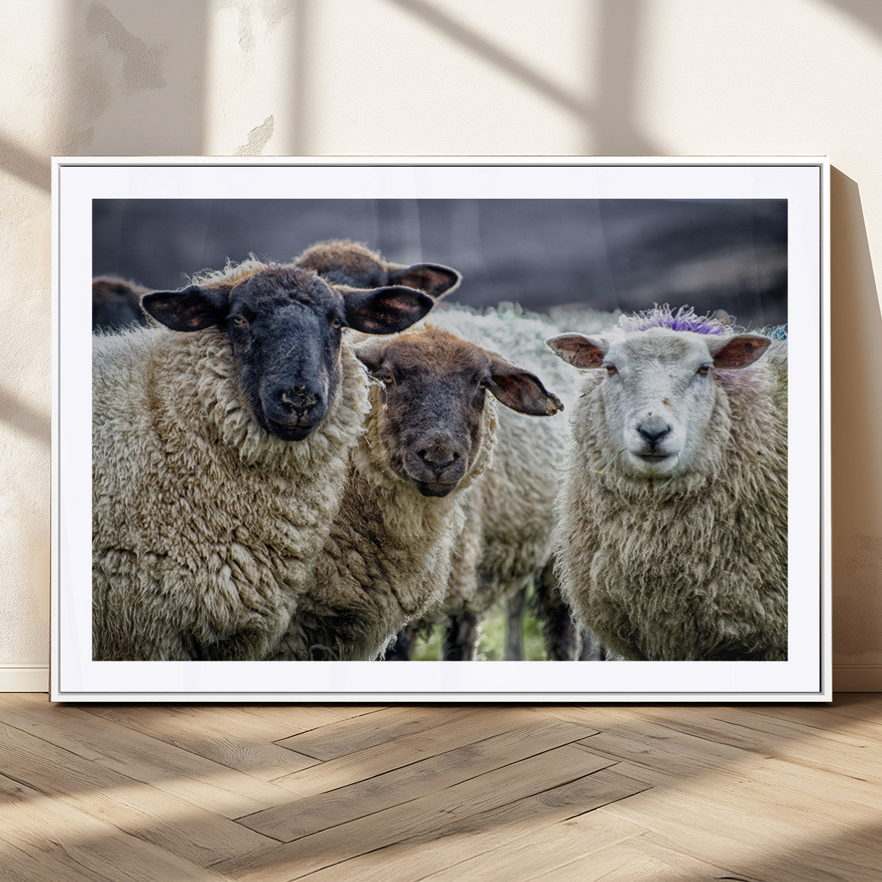 18418-MGC-FP-36x24_White-Sheep Wall Art Canvas Print, Framed Farmhouse Sheep Art Picture Print, Sheep Herd Perfect Rustic Farmhouse Decor Artwork