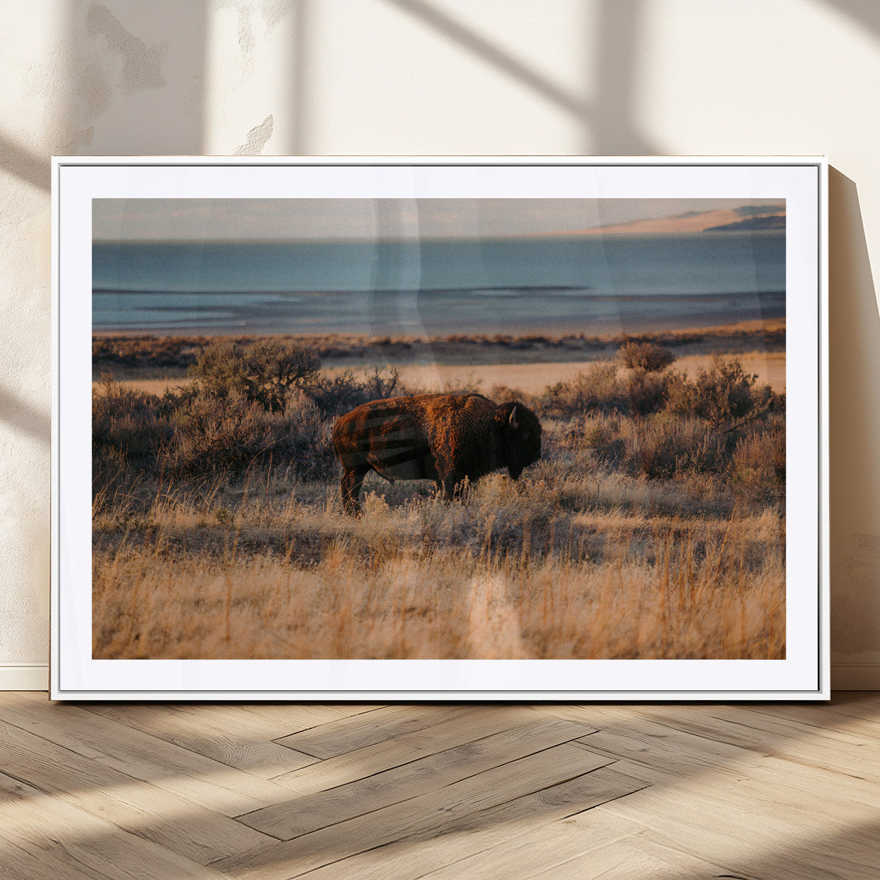 39509187-MGC-FP-36x24_White-Western Wildlife Wall Art Canvas Print, Framed Bison Art Picture Print, Golden Hour Perfect Western Rustic Decor Artwork