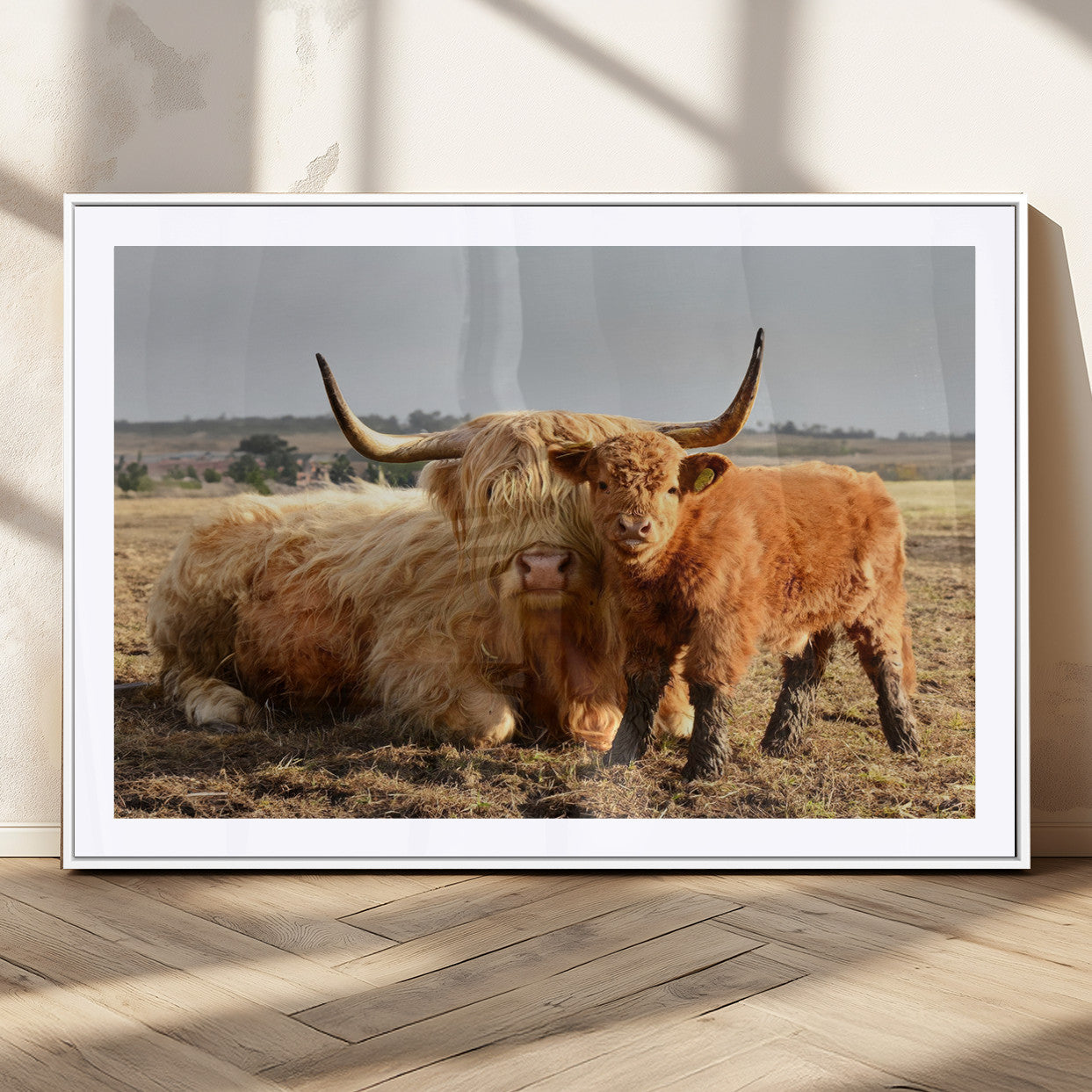 88780-MGC-FP-36x24_White-Highland Cow Wall Art Canvas Print, Framed Cow Calf Art Picture Print, Scottish Cattle Perfect Rustic Farmhouse Decor Artwork