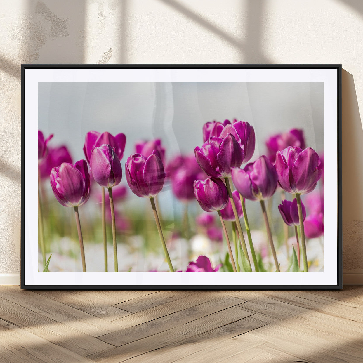 30632-MGC-FP-36x24_Black-Purple Tulip Field Wall Art – Beautiful Spring Flowers Canvas Print with Soft Focus and Bright Sky, Ideal Floral Decor for Home or