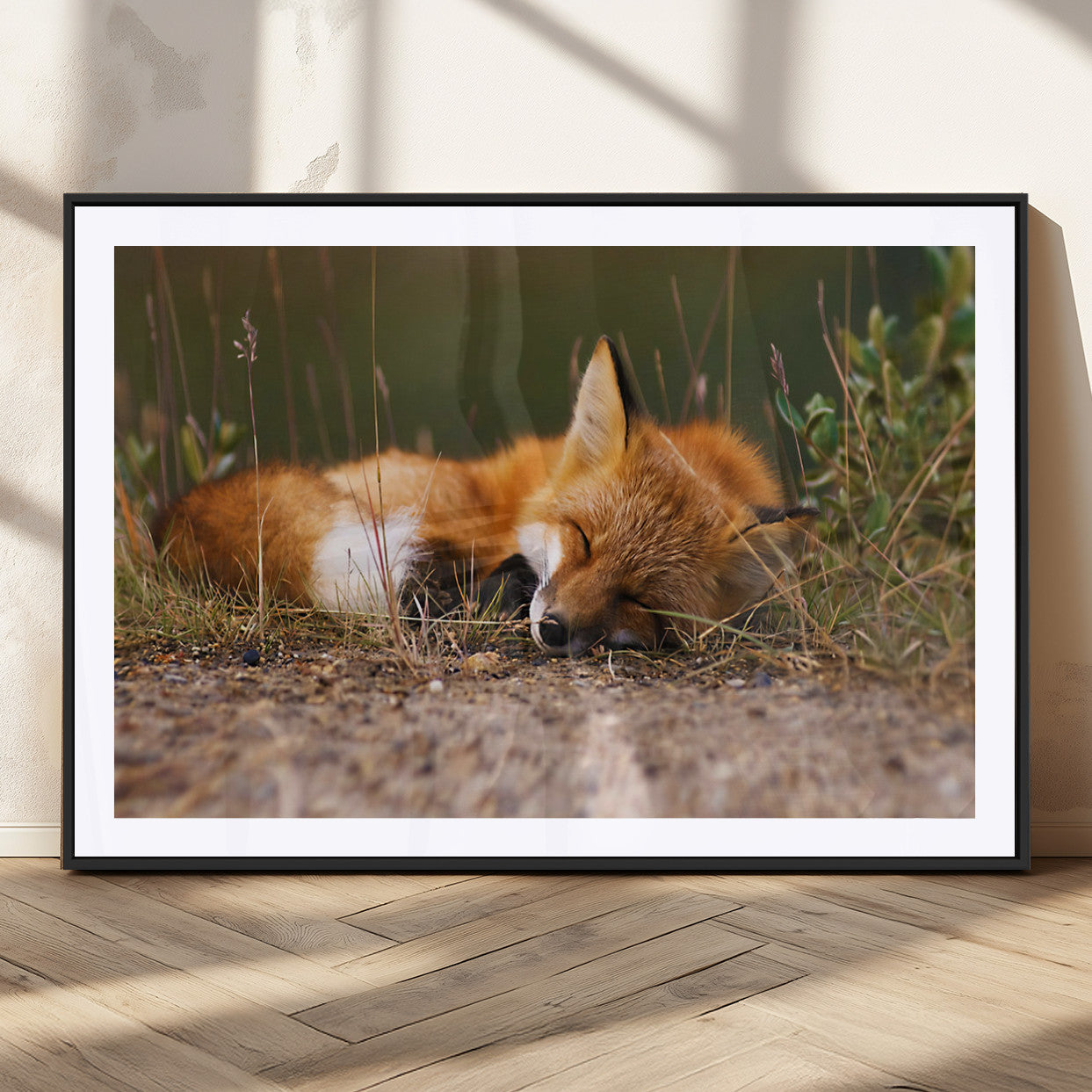 25085-MGC-FP-36x24_Black-Sleeping Fox Wall Art Canvas Print, Framed Rustic Fox Art Picture Print, Wildlife Animal Perfect Rustic Farmhouse Decor Artwork