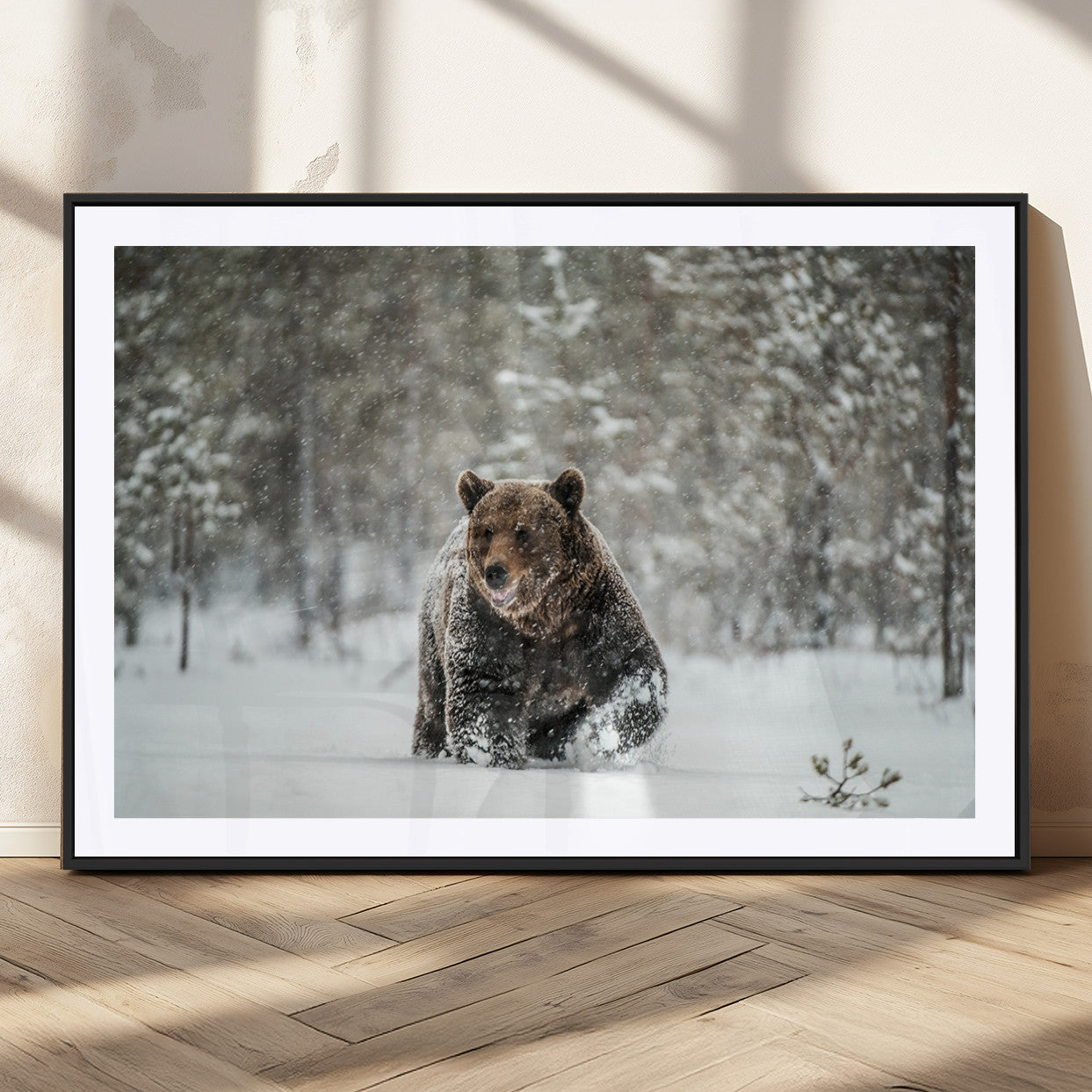 43350-MGC-FP-36x24_Black-Wild Bear in Snow Wall Art – Majestic Wildlife Photography Print, Winter Forest Nature Decor for Cabin, Lodge, Rustic Home,