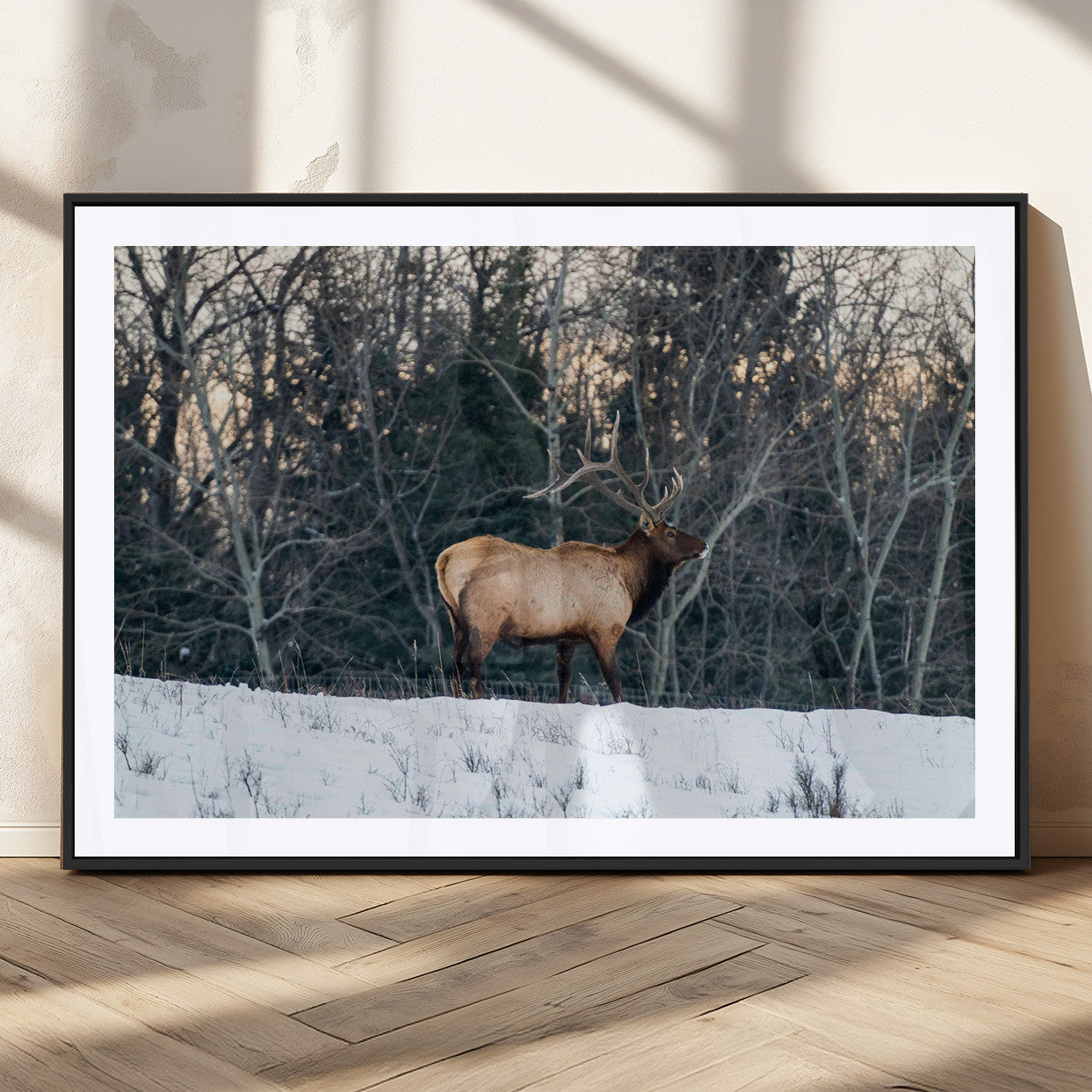 36533178-MGC-FP-36x24_Black-Wild Elk Photography Wall Art Canvas Print, Framed Winter Wildlife Art Picture Print, Snowy Forest Perfect Rustic Lodge Decor