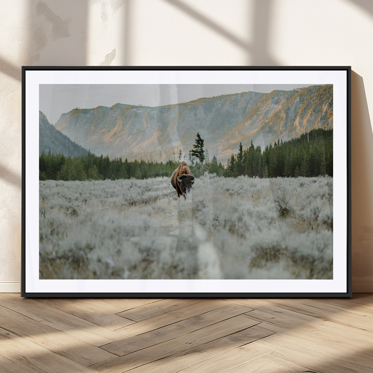 41674074-MGC-FP-36x24_Black-Bison Wall Art – American Buffalo Wildlife Photography Canvas Print, Western Mountain Landscape Artwork Rustic Nature Decor for