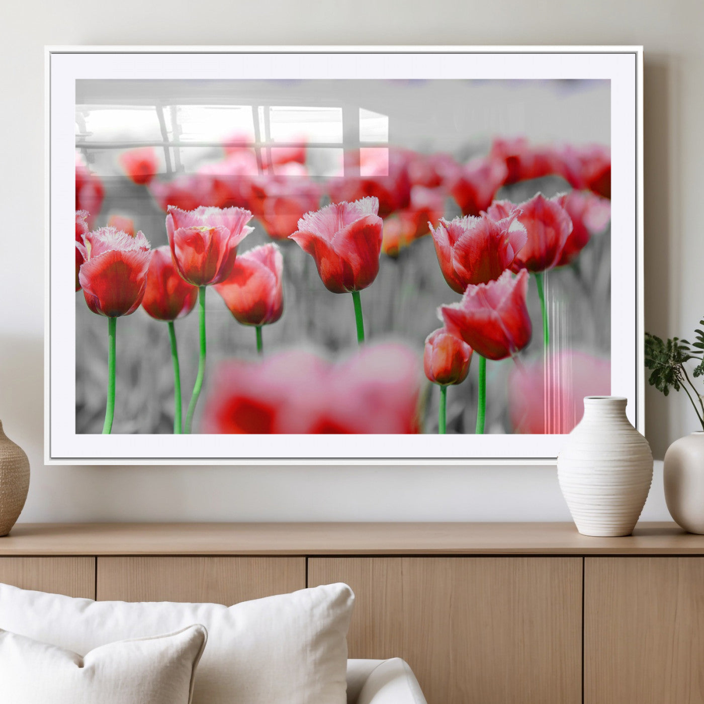 44554-MGV-CV-36X24-Vibrant red tulips stand out beautifully against a black-and-white background, making a striking decor piece perfect for any home