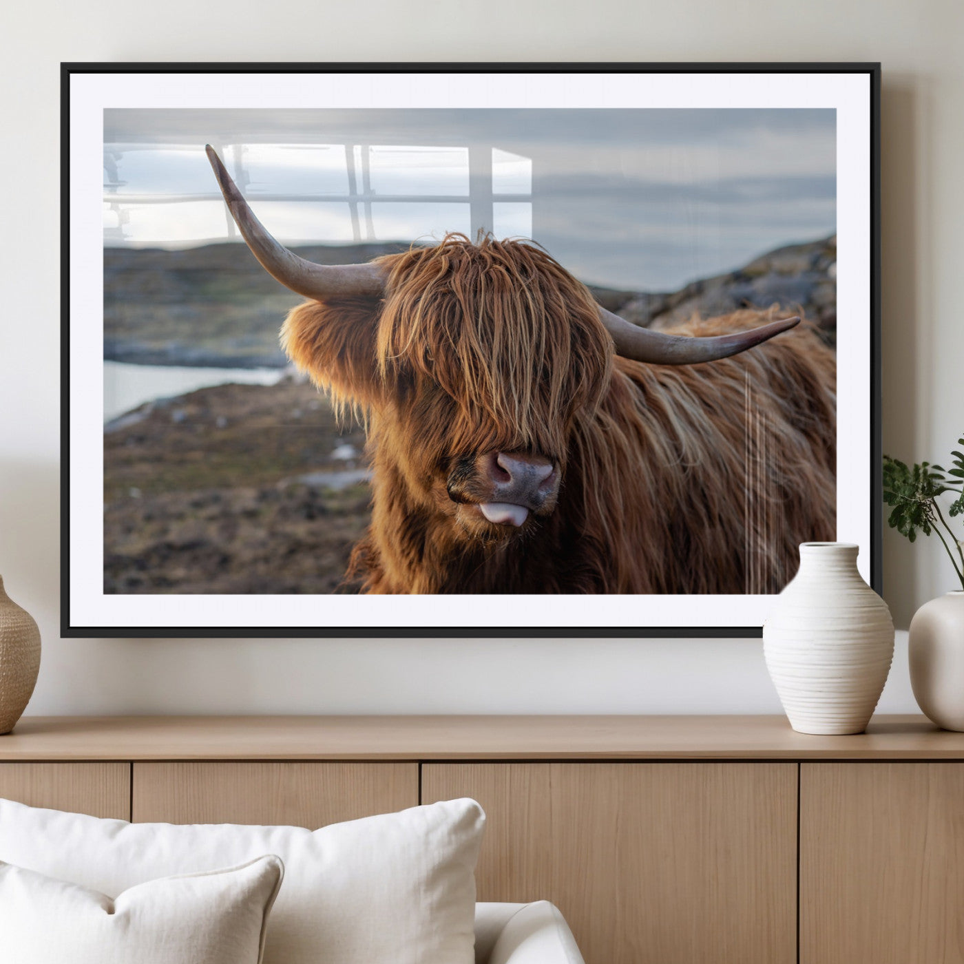 71222-MGV-CV-36X24-A playful Highland cow with shaggy fur sticks out its tongue, set against a rugged landscape — perfect for quirky home or office