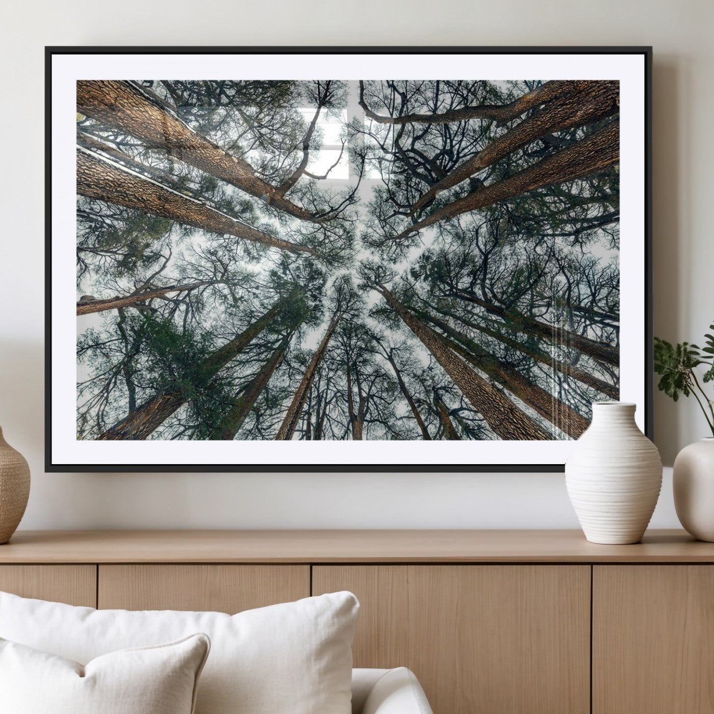 18790-MGV-CV-36X24-Pine Canopy Wall Art – Panoramic View of Towering Pines Canvas Print, Nature-Inspired Decor for Office, Cabin or Living Room