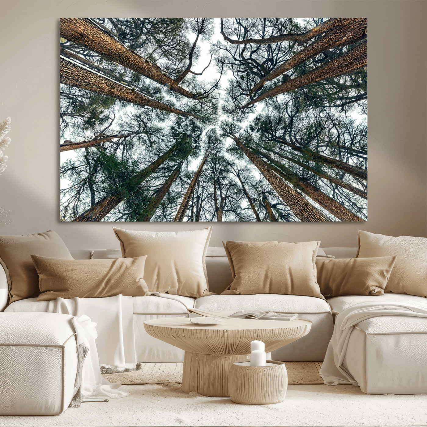 18790-MGV-CV-36X24-Pine Canopy Wall Art – Panoramic View of Towering Pines Canvas Print, Nature-Inspired Decor for Office, Cabin or Living Room