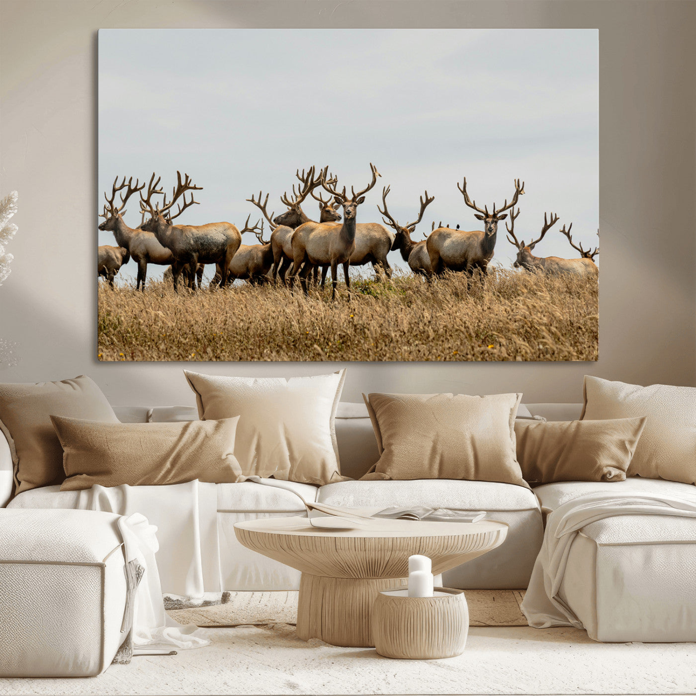 42170220-MGV-CV-36X24-Elk Herd Wall Art Canvas Print, Framed Wildlife Photography Art Picture Print, Majestic Antlers Perfect Rustic Wildlife Decor
