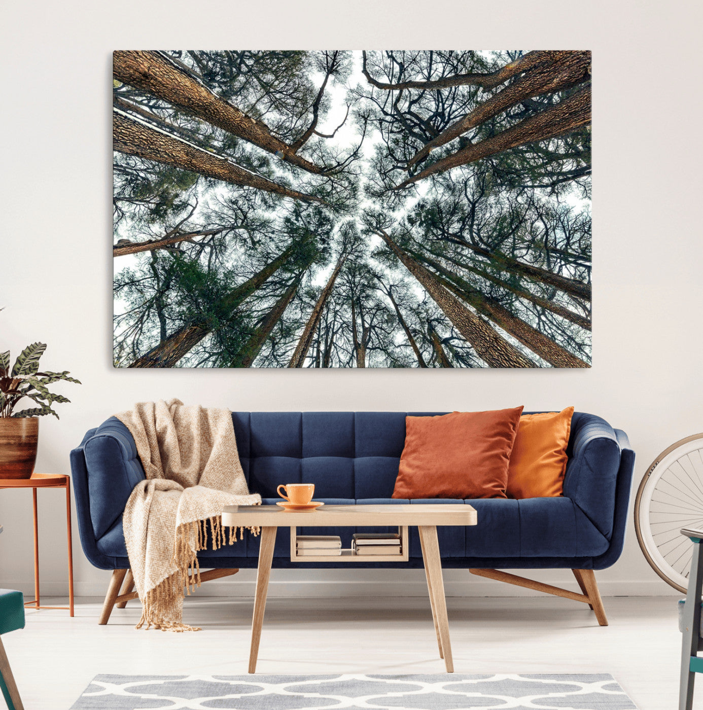 18790-MGV-CV-36X24-Pine Canopy Wall Art – Panoramic View of Towering Pines Canvas Print, Nature-Inspired Decor for Office, Cabin or Living Room