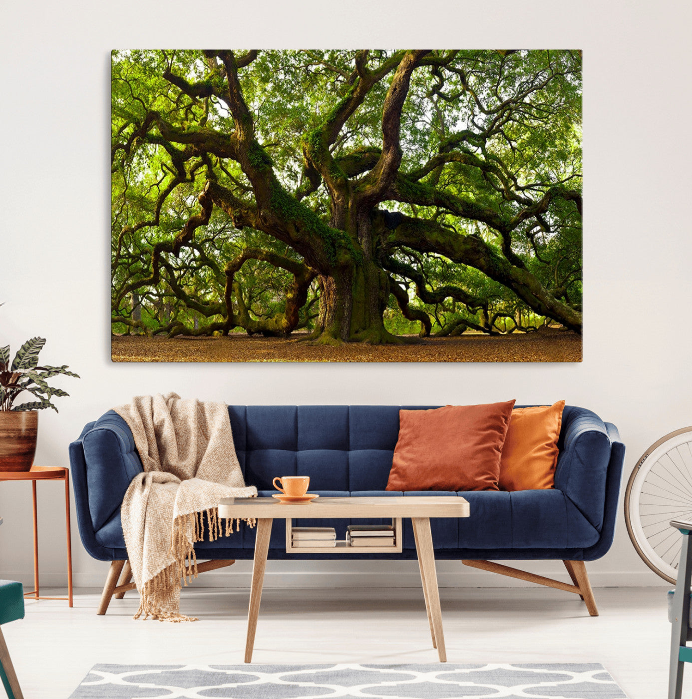 29407-MGV-CV-36X24-Ancient Oak Tree Wall Art – Majestic Nature Canvas Print, Large Tree Photography Decor for Living Room