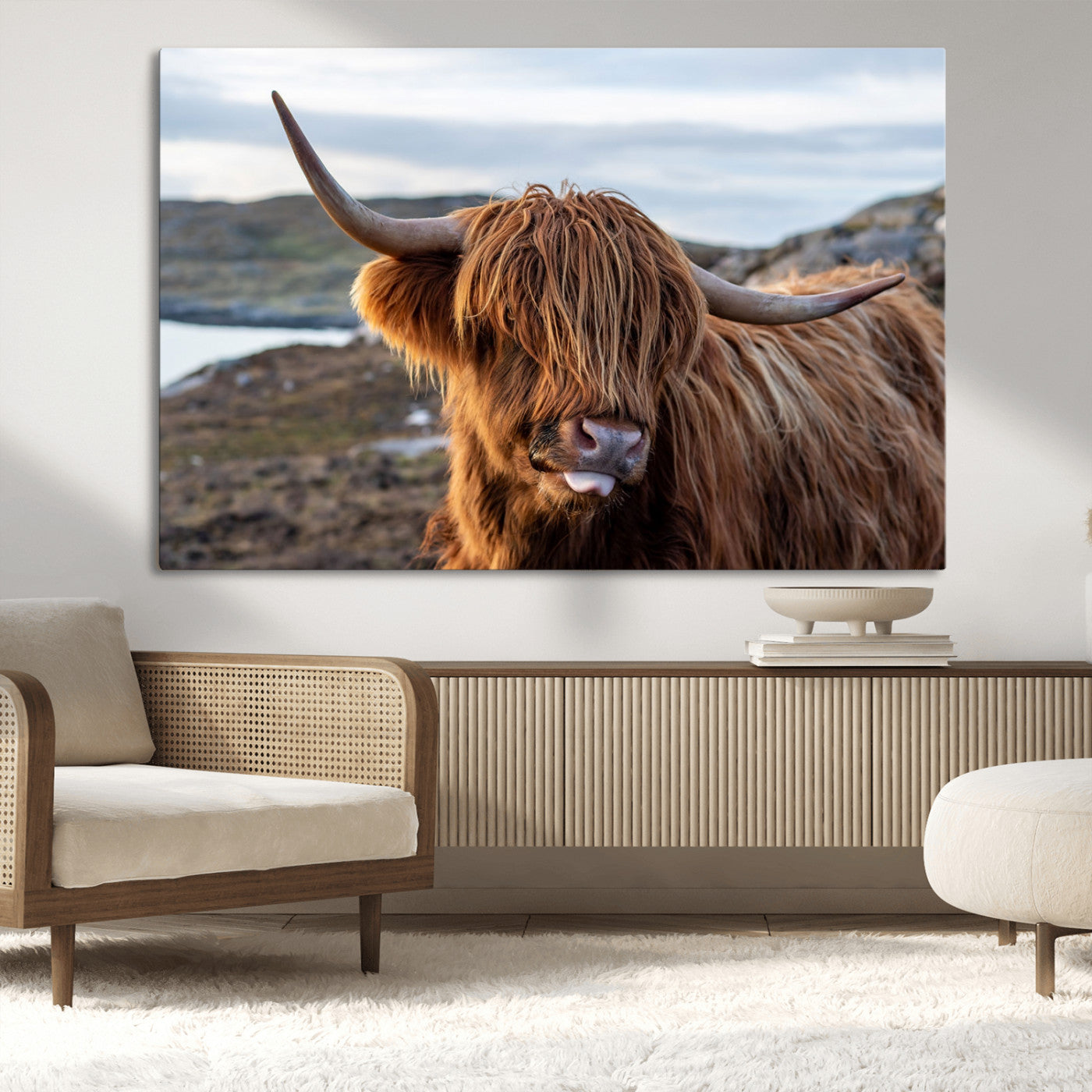 71222-MGV-CV-36X24-A playful Highland cow with shaggy fur sticks out its tongue, set against a rugged landscape — perfect for quirky home or office