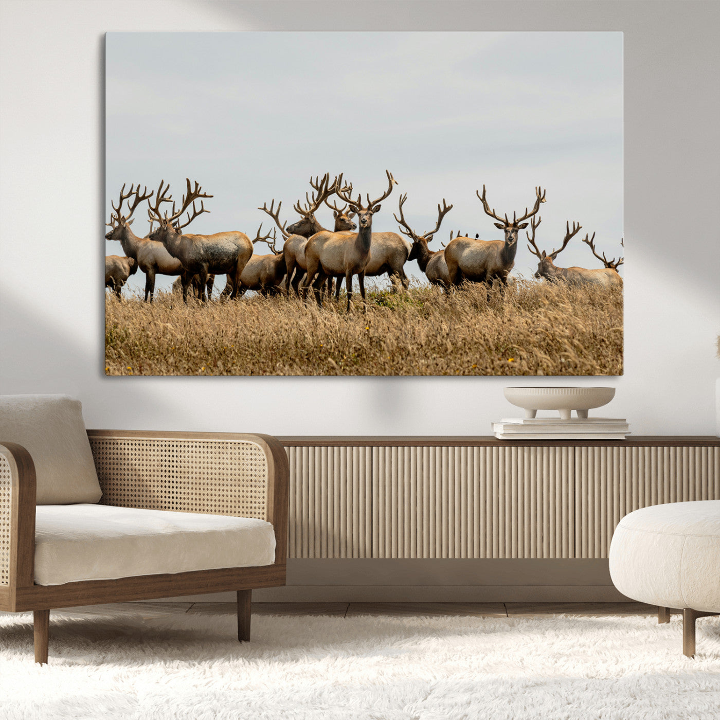 42170220-MGV-CV-36X24-Elk Herd Wall Art Canvas Print, Framed Wildlife Photography Art Picture Print, Majestic Antlers Perfect Rustic Wildlife Decor