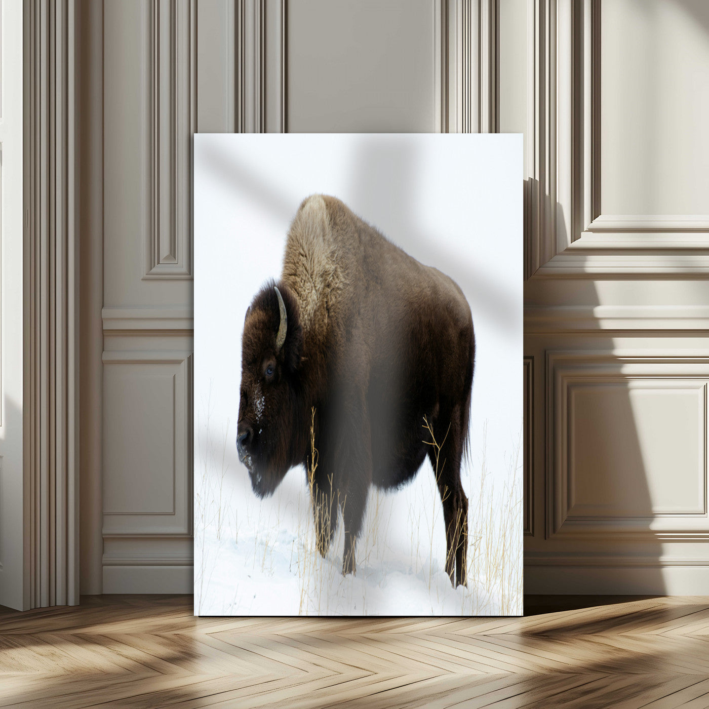76778120-MGV-CV-24X36-Bison Photography Wall Art Canvas Print, Framed Western Wildlife Art Picture Print, Buffalo On Snow Perfect Western Rustic Decor