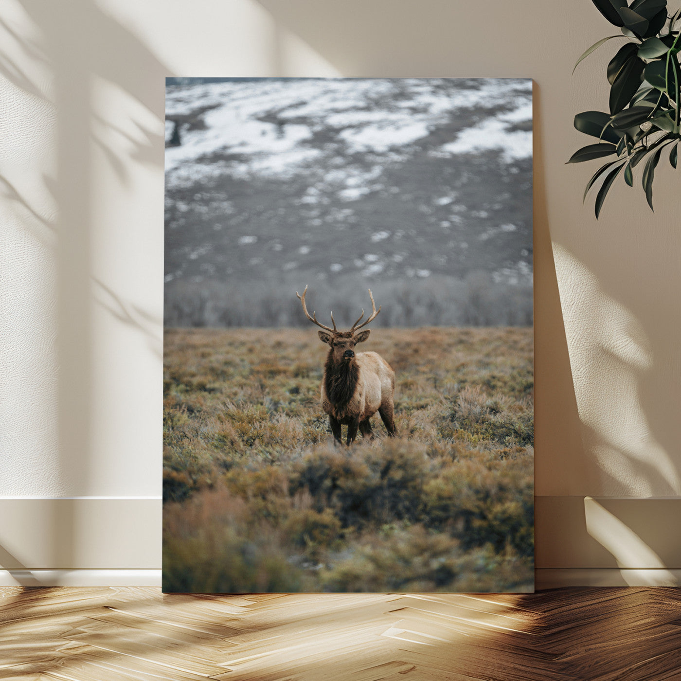 80105083-MGV-CV-24X36-Wild Elk Wall Art Canvas Print, Framed Mountain Wilderness Art Picture Print, Majestic Animal Perfect Rustic Lodge Decor Artwork