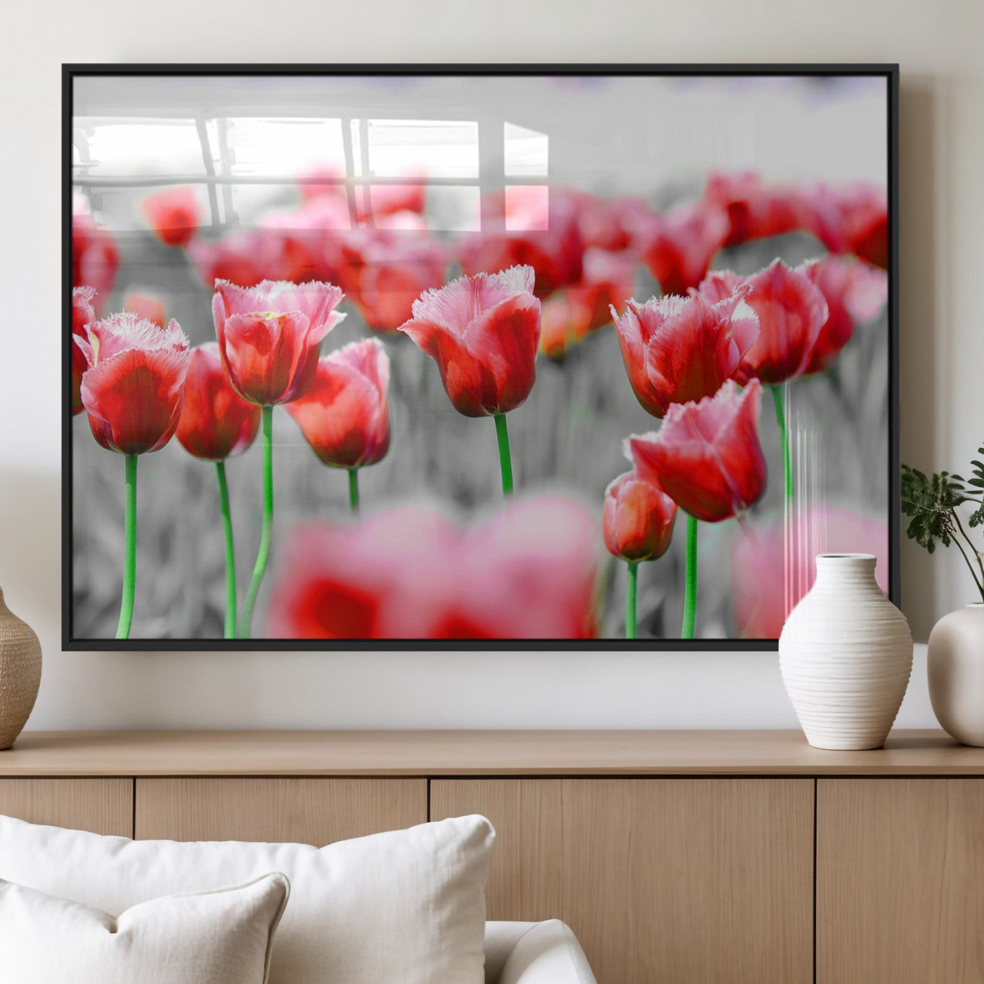 44554-MGV-FP-36X24-3P_Black-Vibrant red tulips stand out beautifully against a black-and-white background, making a striking decor piece perfect for any home