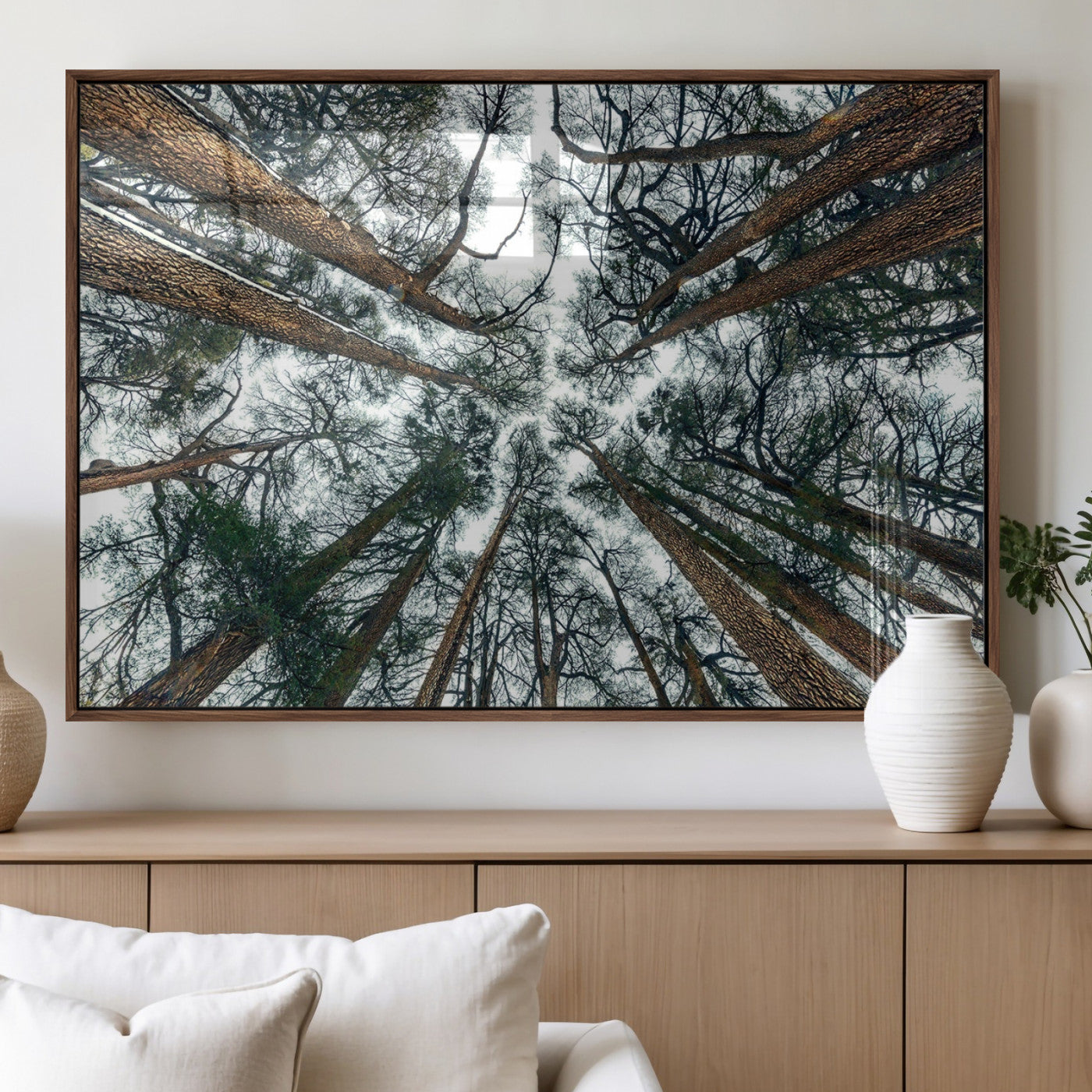 18790-MGV-FP-36X24-3P_Walnut-Pine Canopy Wall Art – Panoramic View of Towering Pines Canvas Print, Nature-Inspired Decor for Office, Cabin or Living Room