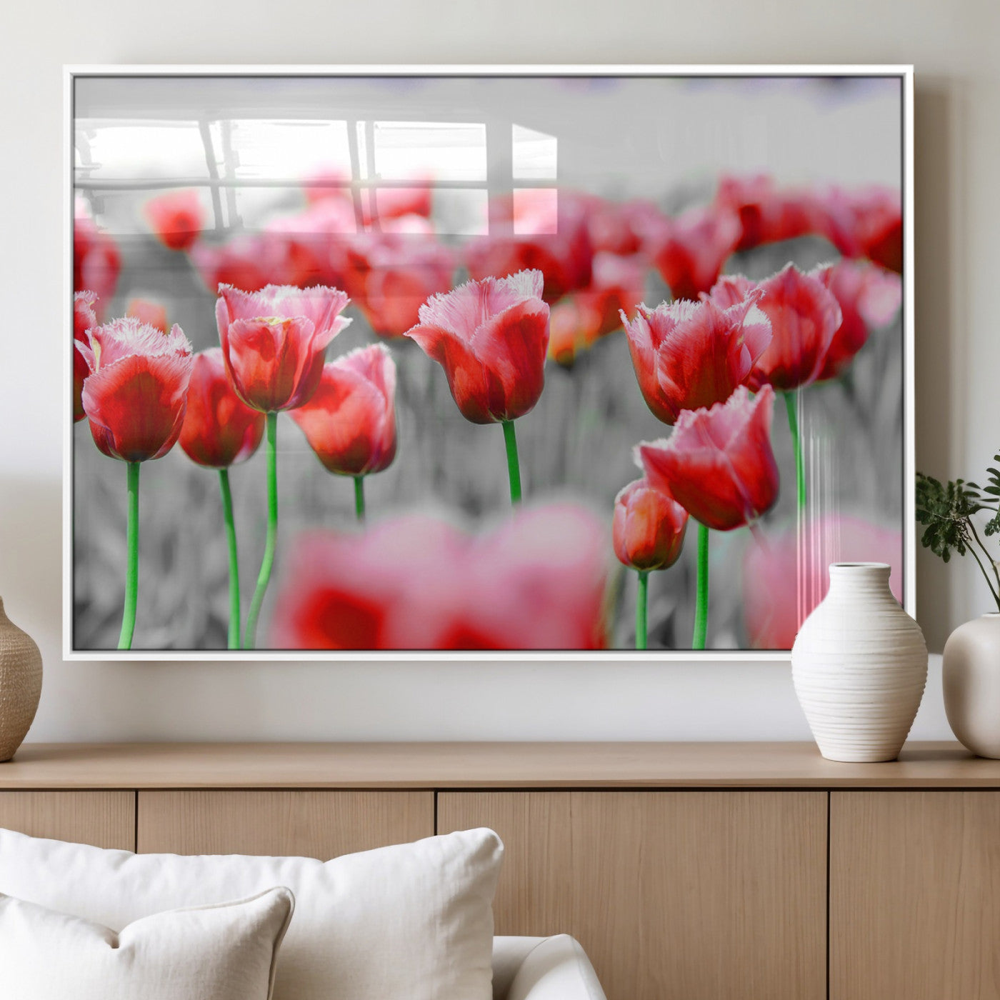44554-MGV-FP-36X24-3P_White-Vibrant red tulips stand out beautifully against a black-and-white background, making a striking decor piece perfect for any home