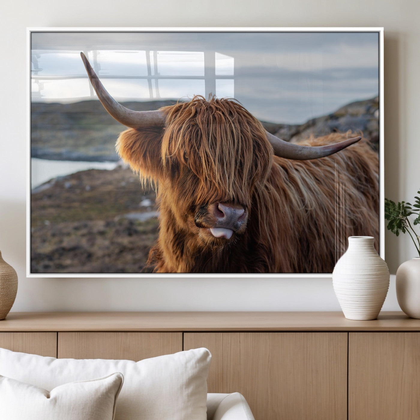 71222-MGV-FP-36X24-3P_White-A playful Highland cow with shaggy fur sticks out its tongue, set against a rugged landscape — perfect for quirky home or office
