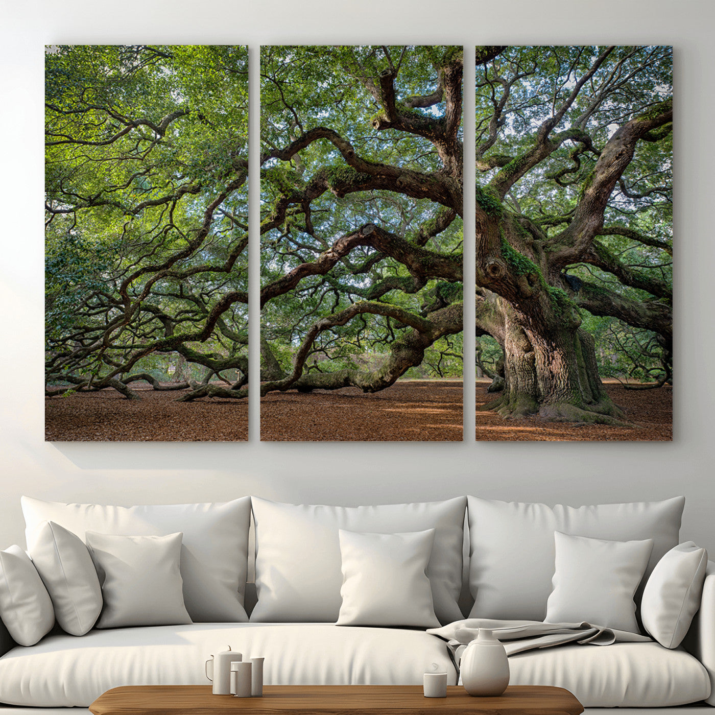 MGV-CV-48X32-3P - Historic Tree Wall Art Canvas Print, Framed Mossy Tree Art Picture Print, Twisted Branches Perfect Nature Southern Decor Artwork