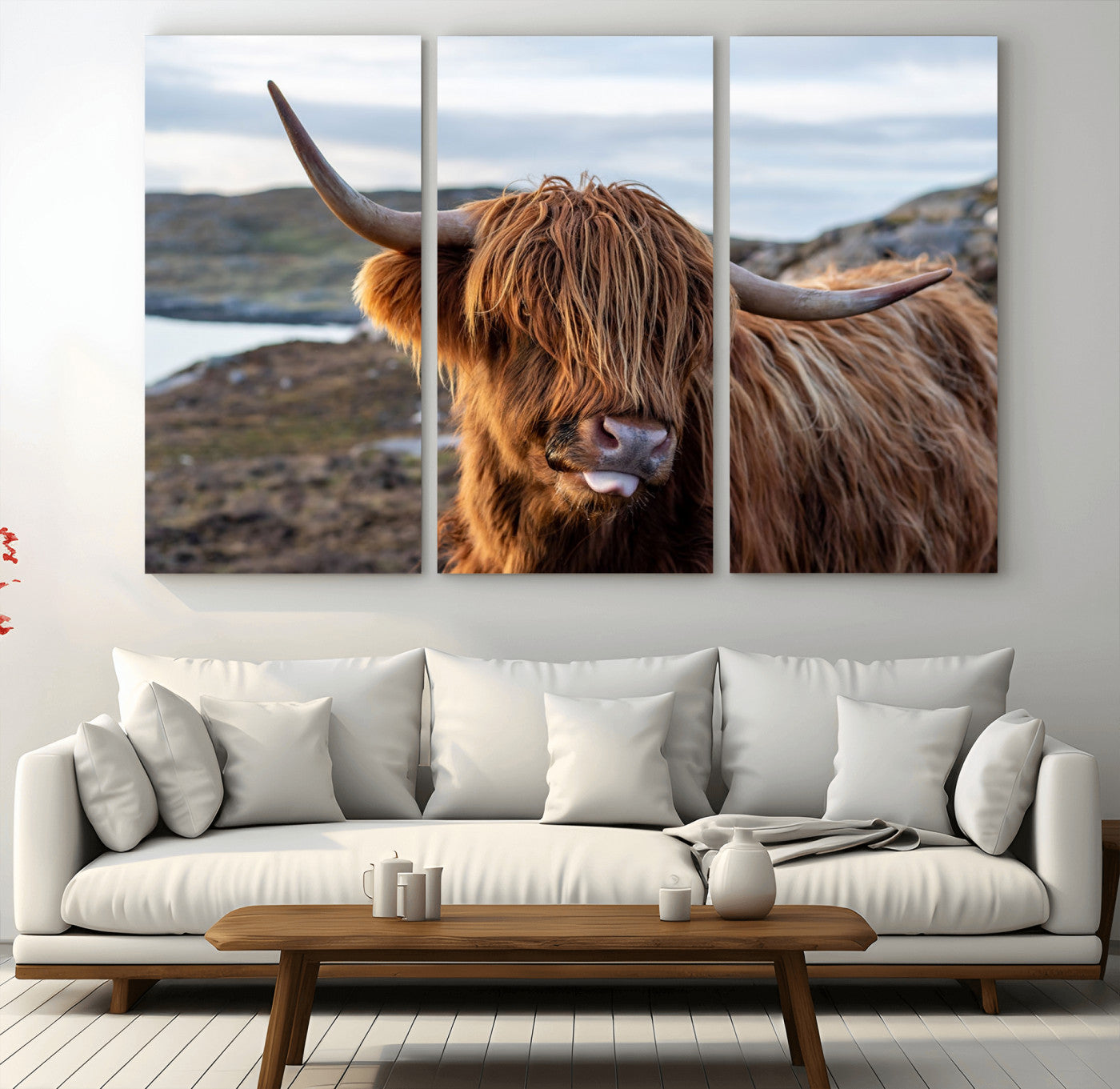 71222-MGV-CV-36X24-A playful Highland cow with shaggy fur sticks out its tongue, set against a rugged landscape — perfect for quirky home or office