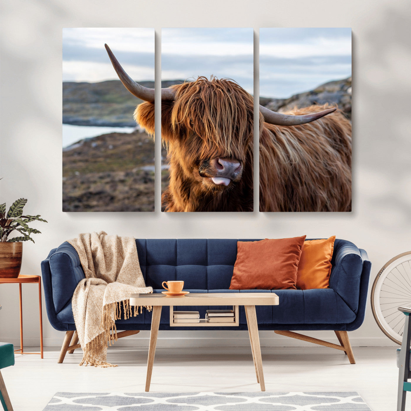 71222-MGV-CV-36X24-A playful Highland cow with shaggy fur sticks out its tongue, set against a rugged landscape — perfect for quirky home or office