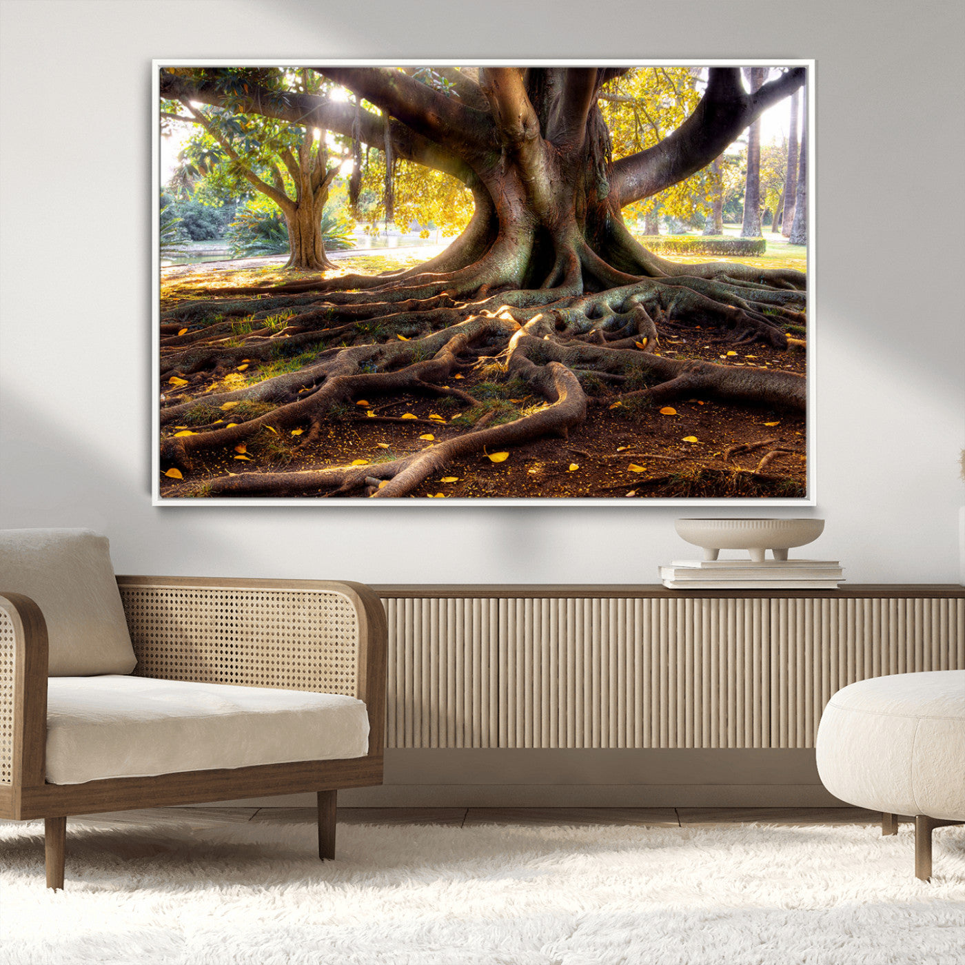 53335-MGV-CV-36X24-Majestic Tree with Sprawling Roots Wall Art – Serene Sunlit Park Scene, Nature Canvas Print, Perfect for Living Room, Office or