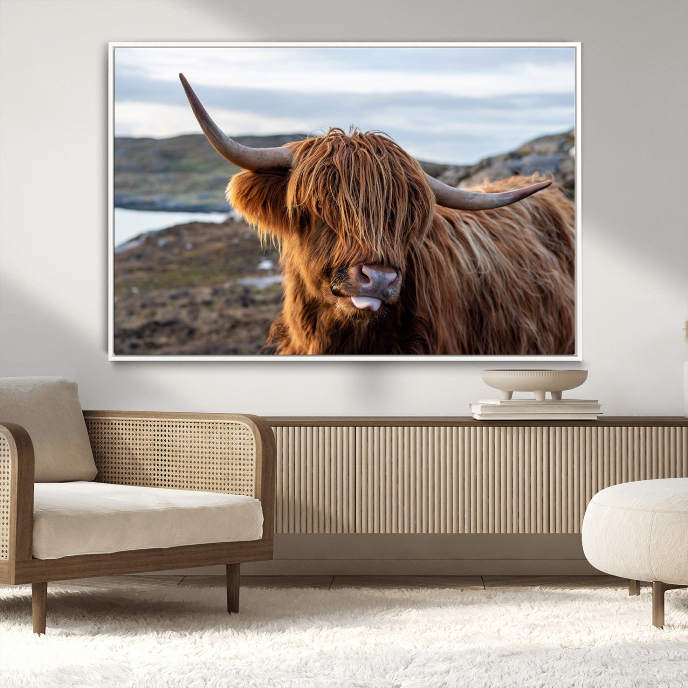 71222-MGV-CV-36X24-A playful Highland cow with shaggy fur sticks out its tongue, set against a rugged landscape — perfect for quirky home or office