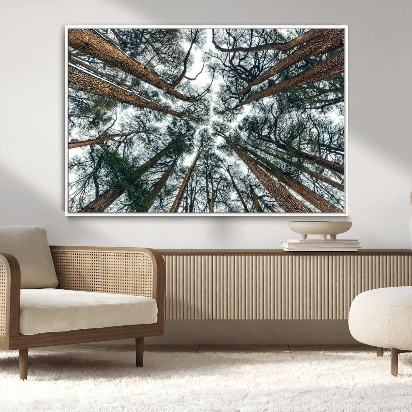 18790-MGV-CV-36X24-Pine Canopy Wall Art – Panoramic View of Towering Pines Canvas Print, Nature-Inspired Decor for Office, Cabin or Living Room