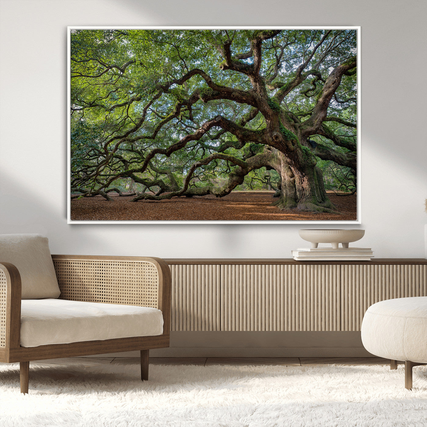 MGV-FC-36X24 - Historic Tree Wall Art Canvas Print, Framed Mossy Tree Art Picture Print, Twisted Branches Perfect Nature Southern Decor Artwork