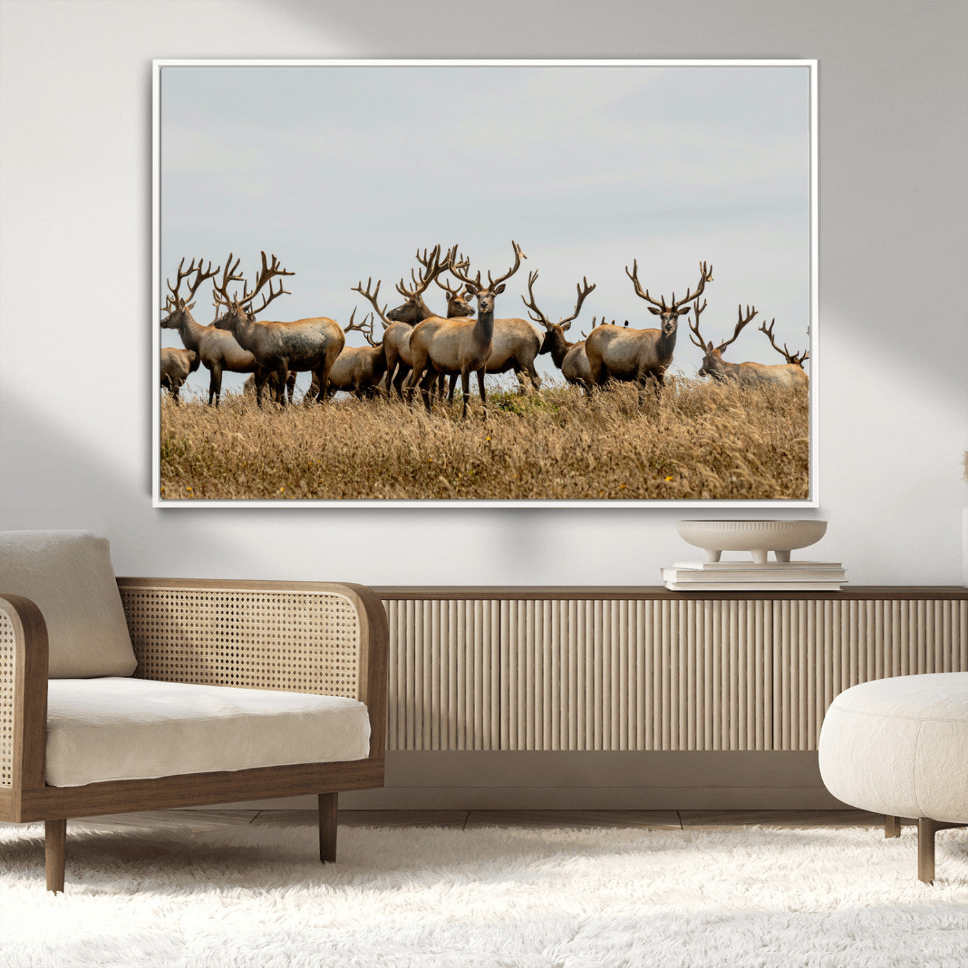 42170220-MGV-CV-36X24-Elk Herd Wall Art Canvas Print, Framed Wildlife Photography Art Picture Print, Majestic Antlers Perfect Rustic Wildlife Decor