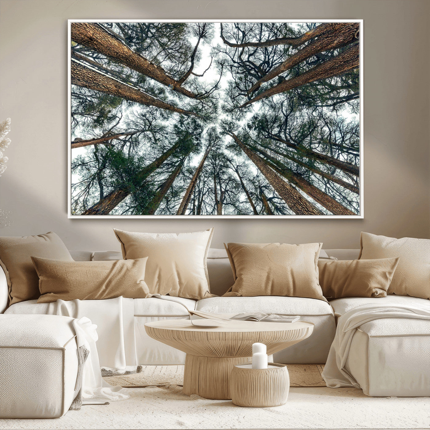 18790-MGV-CV-36X24-Pine Canopy Wall Art – Panoramic View of Towering Pines Canvas Print, Nature-Inspired Decor for Office, Cabin or Living Room